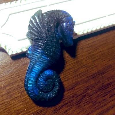 麻見 Profile