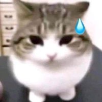 ๏ฝก๏พ๏ฝฅ ๐.๐๐๐ ๐๐๐ข โบ ๐ (@b4kketsu) 's Twitter Profile Photo ๏ฝก๏พ๏ฝฅ ๐.๐๐๐ ๐๐๐ข โบ ๐ (@b4kketsu) 's Twitter Profile Photo