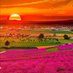Beauty of nature (@beautyofna94357) Twitter profile photo Beauty of nature (@beautyofna94357) Twitter profile photo
