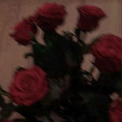 karolinamilot's profile picture. 