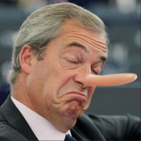FibbyMcFibFace #RejointheEU (@fibbymcfibface) 's Twitter Profile