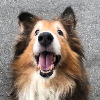 Xsugiura (@xsugiura) 's Twitter Profile Photo