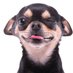 ˜@#$ (@danieldocki) Twitter profile photo ˜@#$ (@danieldocki) Twitter profile photo
