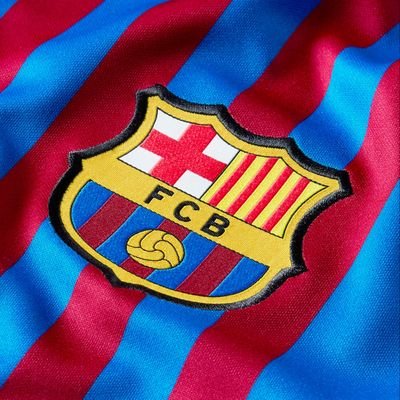 GolesFcb's profile picture. #ArchivoBenjaminete & @benjaminete2