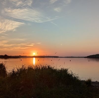 Laneymc1's profile picture. Views are my own.
Choose Kind.🇮🇪🇪🇭🏳️‍⚧️