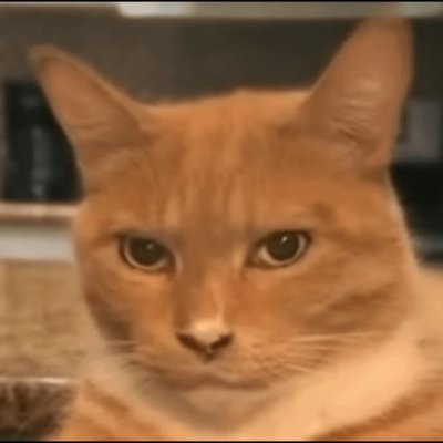 ssilly blender 3d artist (everything and everyone are over 18 y.o.)