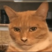 Delightss (commissions paused) (@delights2s) 's Twitter Profile Photo Delightss (commissions paused) (@delights2s) 's Twitter Profile Photo