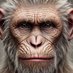 Crypto Video Summaries for Apes (@apegoodbrains) Twitter profile photo