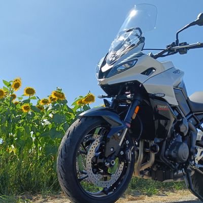 徳島
YAMAHA MT-03(21.4.21~)
TRIUMPU TIGER SPORT 660(24.8.9〜)
マイペースに余生を楽しみたい(*˘︶˘*)✨
🗝開けたので交流してください🫣