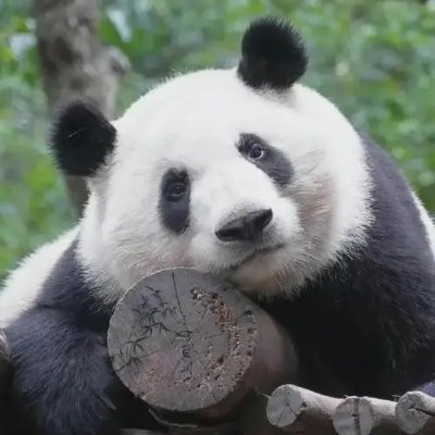 yikeshuyike's profile picture. 请温暖我的心，我想做个有温度的人