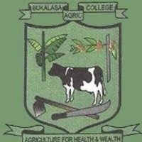 Bukalasa guild body (@60thguildgvt) 's Twitter Profile Photo