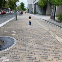 こうき (@koki_add_edu) 's Twitter Profile