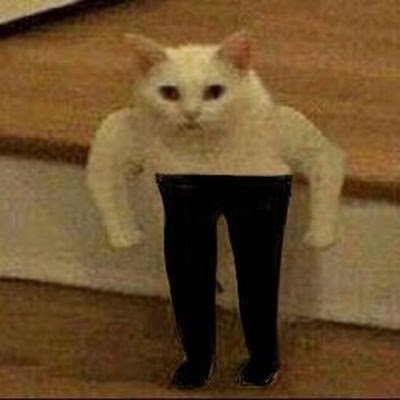 Samuraiedge66's profile picture. 