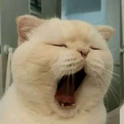 kul_lon29's profile picture. 