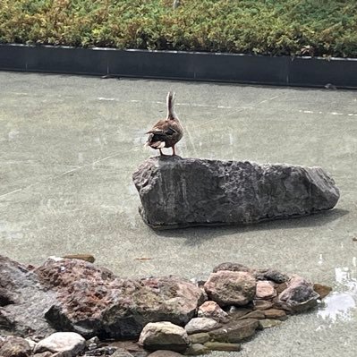 出版社勤務