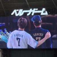 獅子達のおかげ (@thanks_to_lions) Twitter profile photo