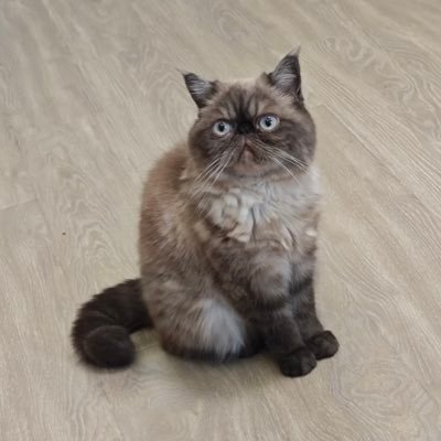 graziasun084's profile picture. 