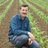 Tim Livingstone of Strawberry Hill Farm (@strawberrytim) 's Twitter Profile