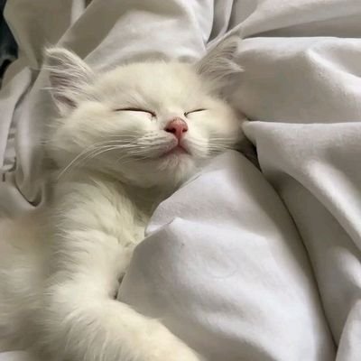 supportlyly's profile picture. aespa