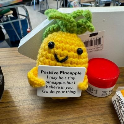 MissPicillo's profile picture. 4th grade imparter of wisdom 🍎📚