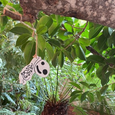 yoora_riko's profile picture. 