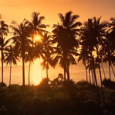 layzydog's profile picture. Having fun