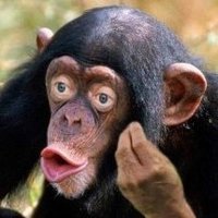 Nadia Getman omni.io π§π π’(π,π§‘)πβ€οΈπ»βοΈsolix (@getmannadia) 's Twitter Profile