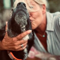 Frau Bindestrich (@frauholaczek) 's Twitter Profile Photo Frau Bindestrich (@frauholaczek) 's Twitter Profile Photo
