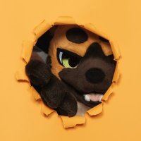 ใใใญ/๋ํค (@nikki_hyena) 's Twitter Profile Photo ใใใญ/๋ํค (@nikki_hyena) 's Twitter Profile Photo
