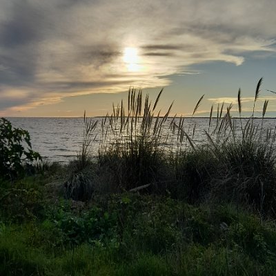 GabrielaRochaMT's profile picture. Physiotherapist