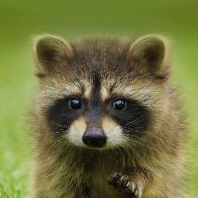 kting330's profile picture. 