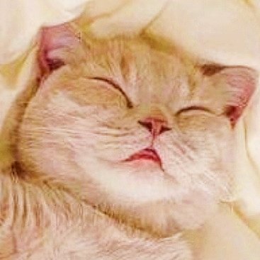 a815926535's profile picture. 株主優待目的で株を集めています🍔　　　　　　　　　　　　
よろしく🐣 
株価指数とmyPFの比較用に
読売株価指数(読売333)の推移をポストします
 #日本株 #楽天 #イオン #セブンアンドアイ