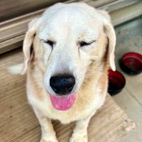 ぞぇ (@ezooooo_lowguys) 's Twitter Profile Photo