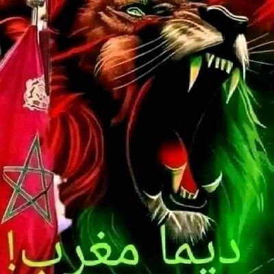 JaouadKaabar's profile picture. 