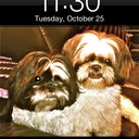 Stephen Shick - @amcambassador - Twitter