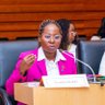 EmefaDuah's profile picture. Data Analyst | AfYWL fellow’24 @UNDP | Programs Lead’24 @ghdatascience | Volunteer @GDGAccra, @wtmaccra