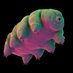 Anthos rambles with tardigrada (@anthcapital) Twitter profile photo Anthos rambles with tardigrada (@anthcapital) Twitter profile photo