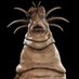 Oobleckfan97 (@themainmanpoop) Twitter profile photo Oobleckfan97 (@themainmanpoop) Twitter profile photo