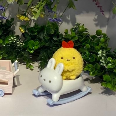 かわいいもの好きなおばさん主婦/すみっコぐらし/ホウちゃん/551ファミリー/天王寺動物園/2024.12.3ロボット支援腹腔鏡手術（経過観察中）/無言フォロー失礼します🙇‍♀️