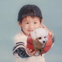 ひょり୨୧⋆*🐧🍙 (@llzshjw_l2o8) 's Twitter Profile