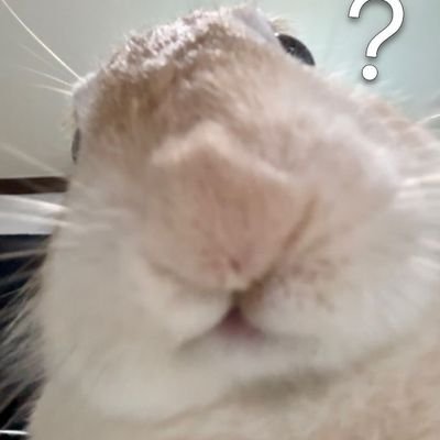 threelines2e's profile picture. 20+│我要吃飯