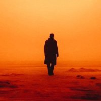 Rōnin SIFF (@ronin_siff) 's Twitter Profile Photo Rōnin SIFF (@ronin_siff) 's Twitter Profile Photo