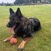 Susie B (@woodheadsuzann1) Twitter profile photo Susie B (@woodheadsuzann1) Twitter profile photo