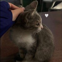 «🦋» (@r2ooo_a) 's Twitter Profile
