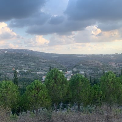 karimhamieh4's profile picture. 