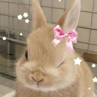 bee (@jungsumania) 's Twitter Profile Photo bee (@jungsumania) 's Twitter Profile Photo