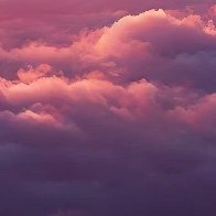 ريم (@rasuwaileh) 's Twitter Profile