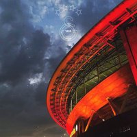 muslera (@musleranandogs) 's Twitter Profile