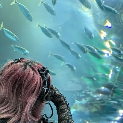 suzuyuri_x_0529's profile picture. ❥ ・・・ 
 /02