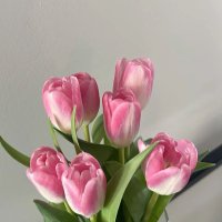 𐙚 (@axmll_5) Twitter profile photo